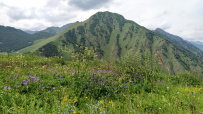 Горный лагерь в Дигории (Северная Осетия)