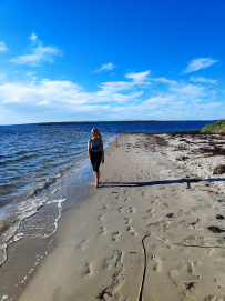 Белое море на морских каяках (байдарках): Карельский берег