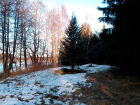 Красоты Мещёры с ночёвкой в тёплом доме (пеший поход)
