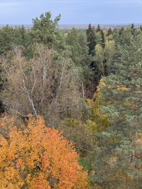 Красоты Мещёры с ночёвкой в тёплом доме (пеший поход)