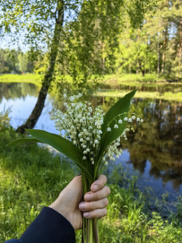 Сплав на байдарках по реке Нерская с баней на берегу и автосопровождением