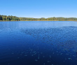 Дикий Селигерский край - водный поход
