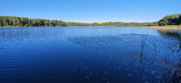 Дикий Селигерский край - водный поход