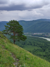 Дети в сердце Алтая