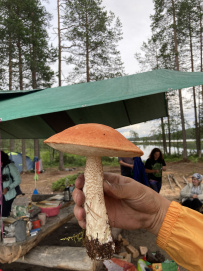 Сплав по реке Пистайоки (Писта)