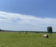 Сплав по реке Киржач на байдарках с баней на берегу