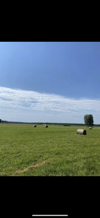 Сплав по реке Киржач на байдарках с баней на берегу