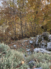 По Ликийской тропе через горы к морю (классический пеший поход)