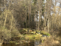 Однодневный пеший поход «Тропами Гуслицы»