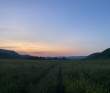 Сплав по реке Чарыш на байдарках