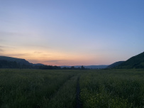 Сплав по реке Чарыш на байдарках