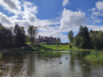 Оредеж — прогулка на байдарках (1 день)