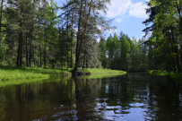 Сплав на байдарках по реке Нерская с баней на берегу и автосопровождением