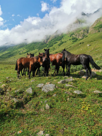 Красоты Безенги