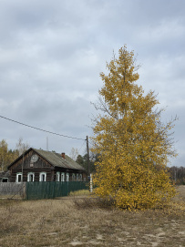Пеший поход «Золотая осень в Мещёре»