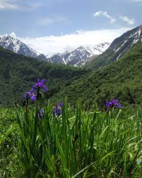 Горный лагерь в Дигории (Северная Осетия)
