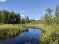 Сплав по реке Кереть и Белое море