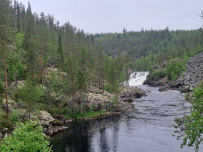 Сплав по рекам Кутсайоки и Тумча