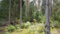 Детский поход «Посвящение в туристы»