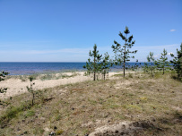 Велопрогулка вдоль залива к форту Красная Горка