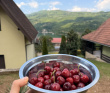 Великий горный край: природа западной Сербии (треккинг-тур в национальный парк Тара)