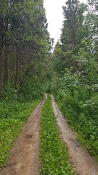 Пеший поход к Гатчинским гейзерам
