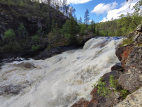 Сплав по рекам Кутсайоки и Тумча