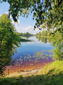 Сплав по реке Шуя