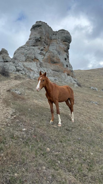 Фототур — лучшее в Крыму. Всё и сразу