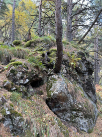 Горный лагерь в Дигории (Северная Осетия)