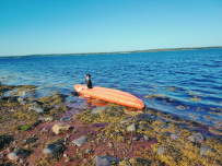 Сплав по реке Воньга и Белое Море на байдарках