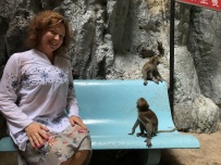 Джунгли тебя зовут!