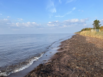 Аметистовый берег Белого моря