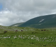 Горный лагерь в Лаго-Наки