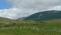 Горный лагерь в Лаго-Наки