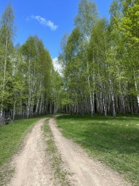 Река Желовь и сосновые леса на дюнах