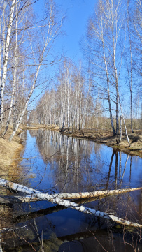 Пеший поход "Минус два"