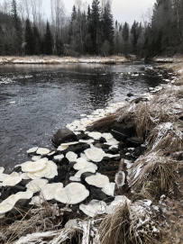 Охотники за водопадами