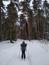 Лыжный поход через Мещёру с ночевкой в тёплом доме
