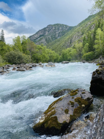 Сплав по реке Катунь