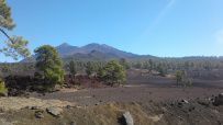 Канары: Трекинг по острову Тенерифе с восхождением на вулкан Тейде