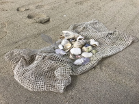 Тур по Лофотенским островам и Норвежскому морю на морских каяках + треккинг в горы