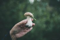 Фото из отзыва участника
