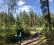 Пеший поход «Бодрый моцион» (поход-разведка)