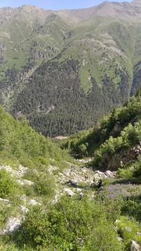Приэльбрусье с детьми (в палатках)
