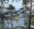 Крыша Ладоги