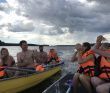 Вуокса: выходные на островах с баней и лодкой сопровождения [Ленобласть]