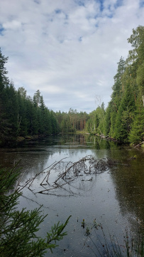 Пеший поход «Край покинутых деревень»
