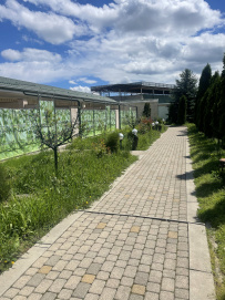 Целебный горный лагерь на Кавказе