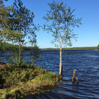 Сплав по реке Кереть и Белое море
